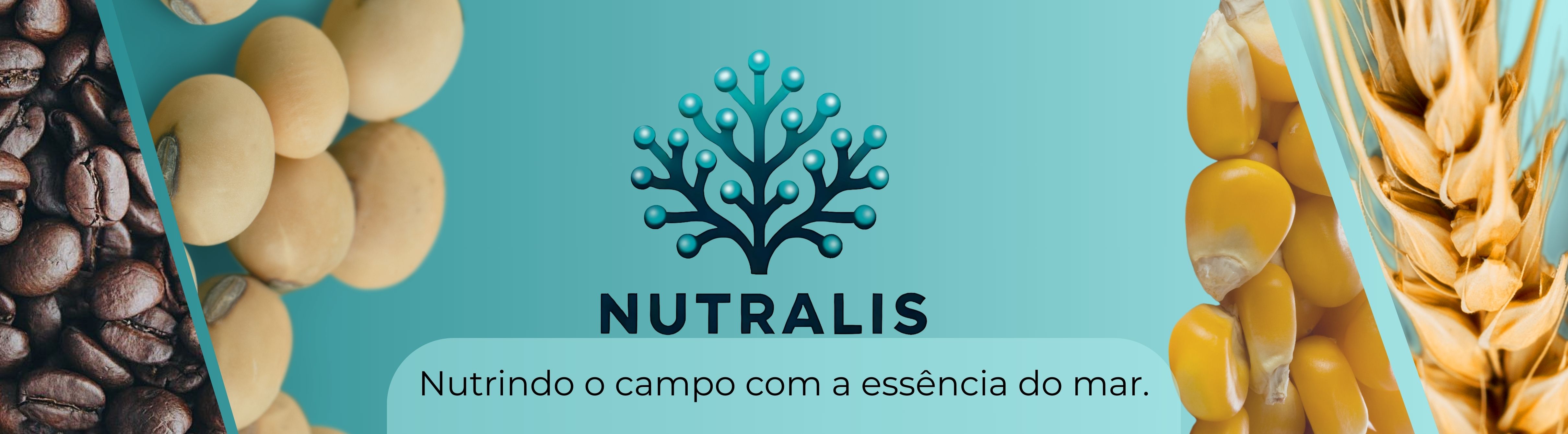 Nutralis Indústria e Comércio Ltda