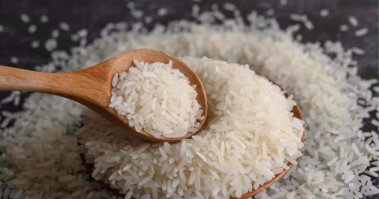 Blog conecta.ag | Brasil fica com saldo positivo na balança comercial do arroz
