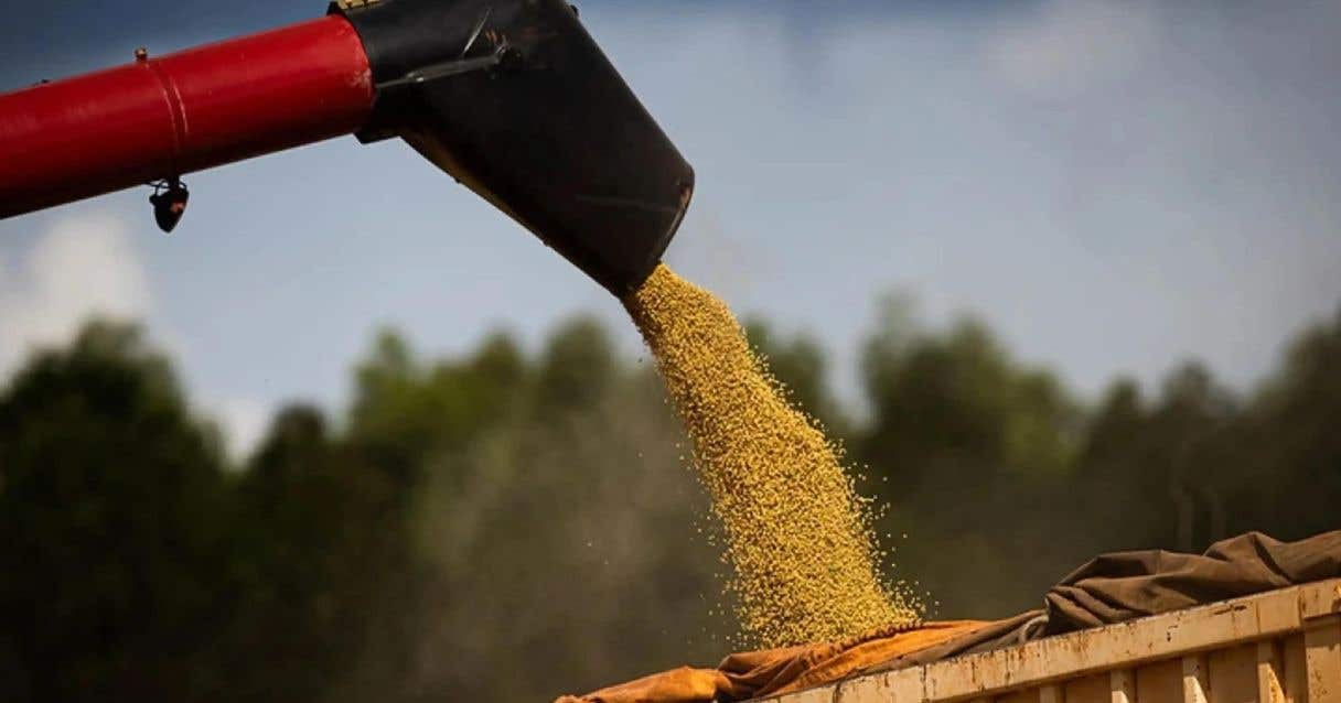 Blog conecta.ag| Conab aponta recorde na produção brasileira de grãos