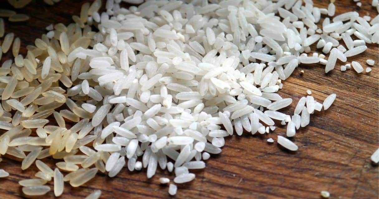 Blog conecta.ag | Entidades arrozeiras pedem urgência para alterar regime do ICMS gaúcho