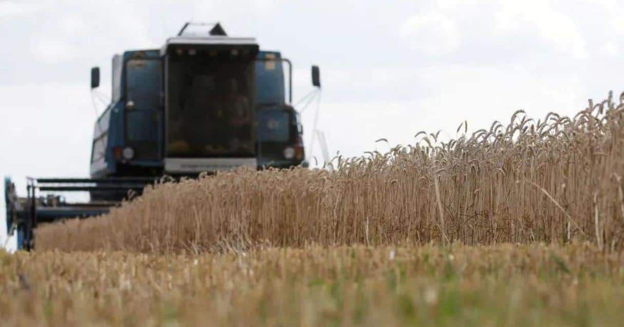 Blog Conecta.ag | Área plantada de soja no Brasil deve bater recorde na safra 2022/23