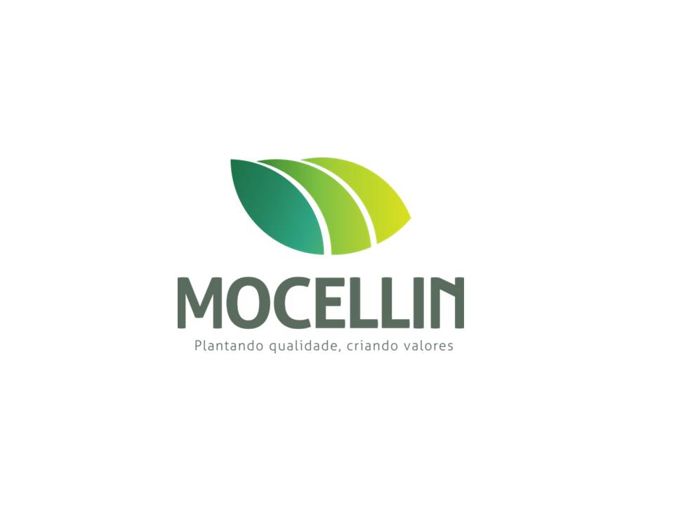 Mocellin
